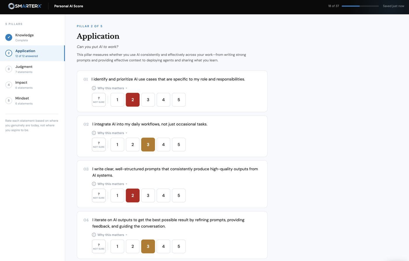 Personal AI Score assessment screen showing the Application pillar