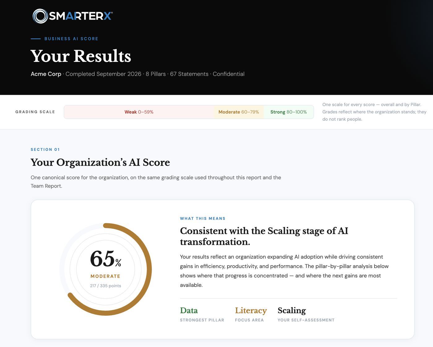 Business AI Score results showing an overall score of 65%, Moderate
